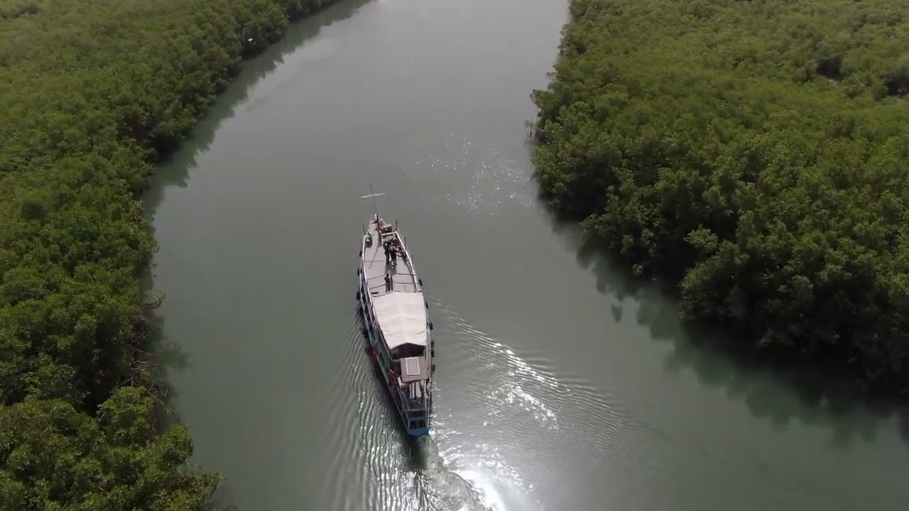 The Gambia River