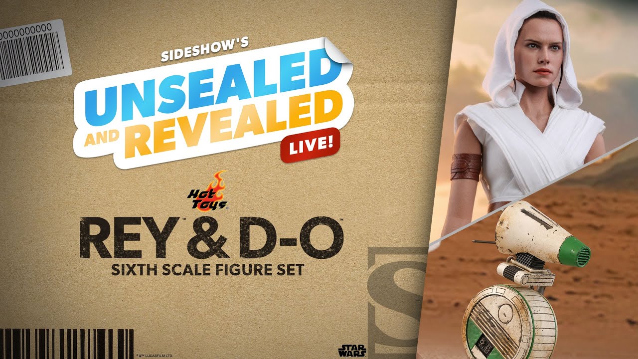 Rey and D-O Sixth Scale Figure by Hot Toys | Unsealed and Revealed