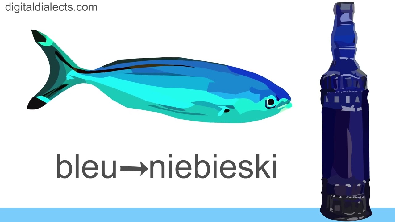Apprendre les couleurs en polonais