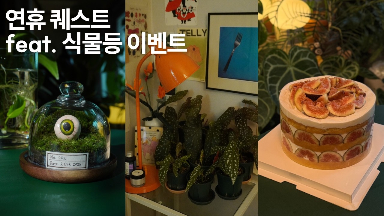 프로 자취러의 집안일 몰아치기💥 | 리폼 & 식물등 셋업(이벤트 有) | 미니 테라리움🌿 —그리고 약간의 새우🦐