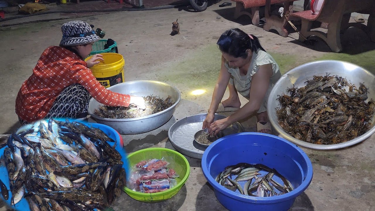 Thành Quả Của 2 Vợ Chồng Mình Dở Lú Trúng Cá Một Đêm Toàn Là Cá Ngon | HLDT 967