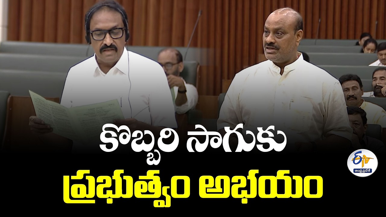 కొబ్బరి రైతులకు కూటమి ప్రభుత్వం అండ | మంత్రి అచ్చెన్న