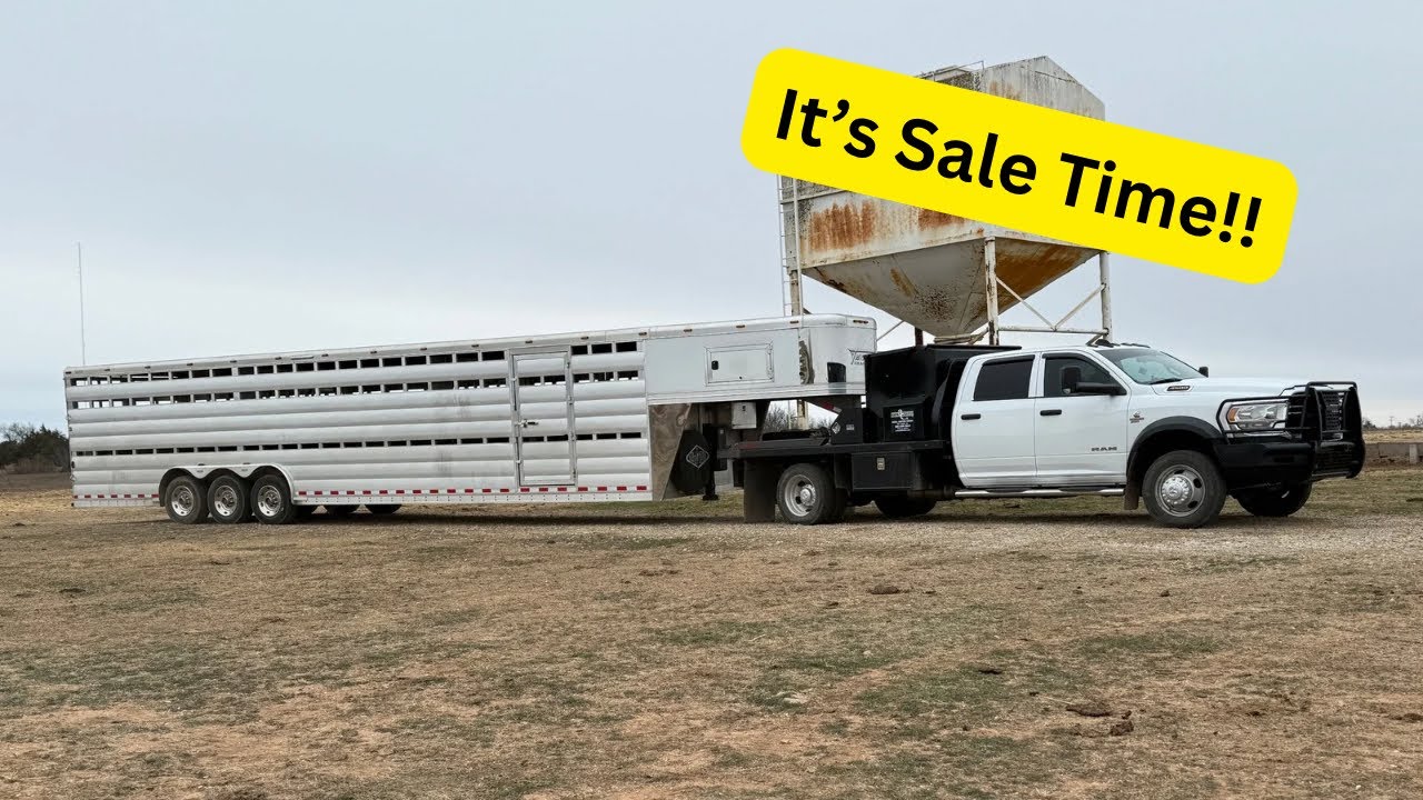 It’s Sale Time!