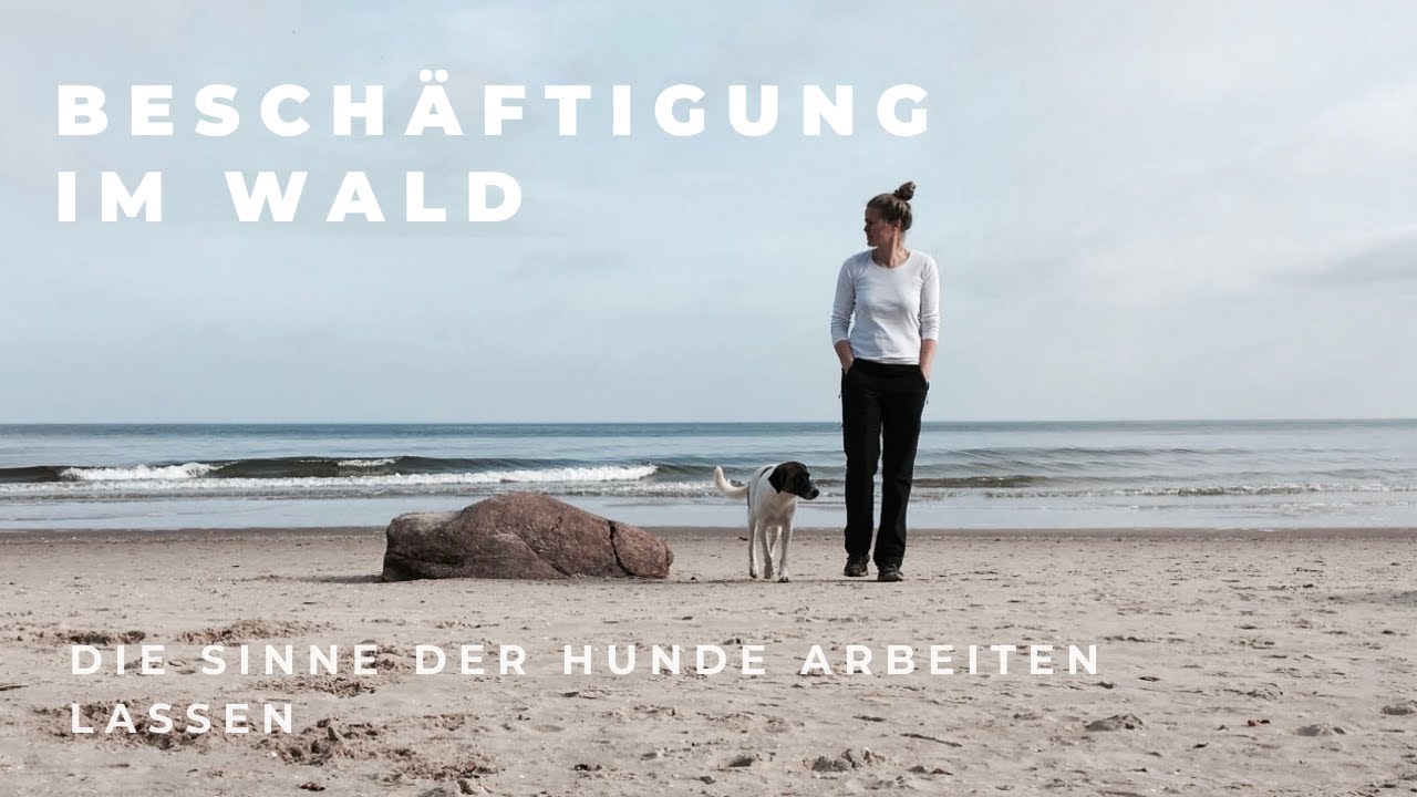Beschäftigung im Wald - kleines Suchspiel