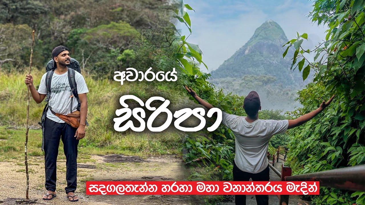 අවාරයේ සිරිපා | සදගලතැන්න හරහා මහා වනාන්තරය මැදින්  | Sri Pada offseason  Journey 2025