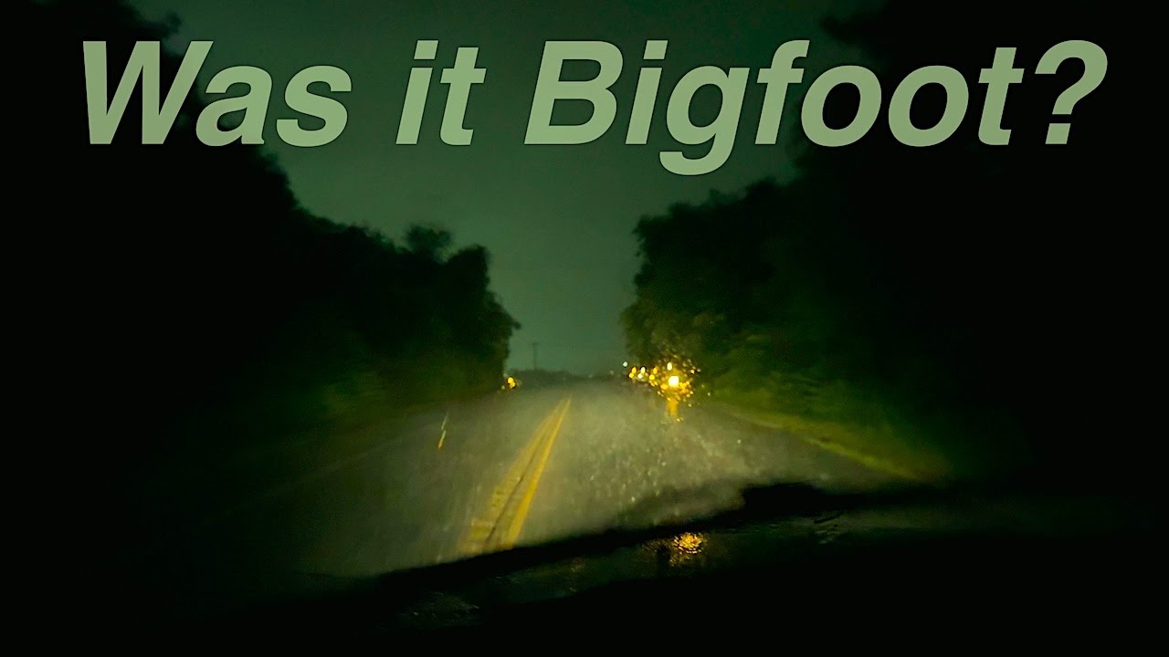 QUIET LITTLE STORY : Were We Stalked by Bigfoot?