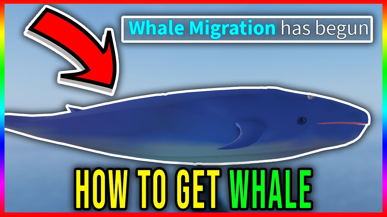 WHALE - HOW TO GET & SPAWN WHALE MIGRATION [FISCH] - Roblox