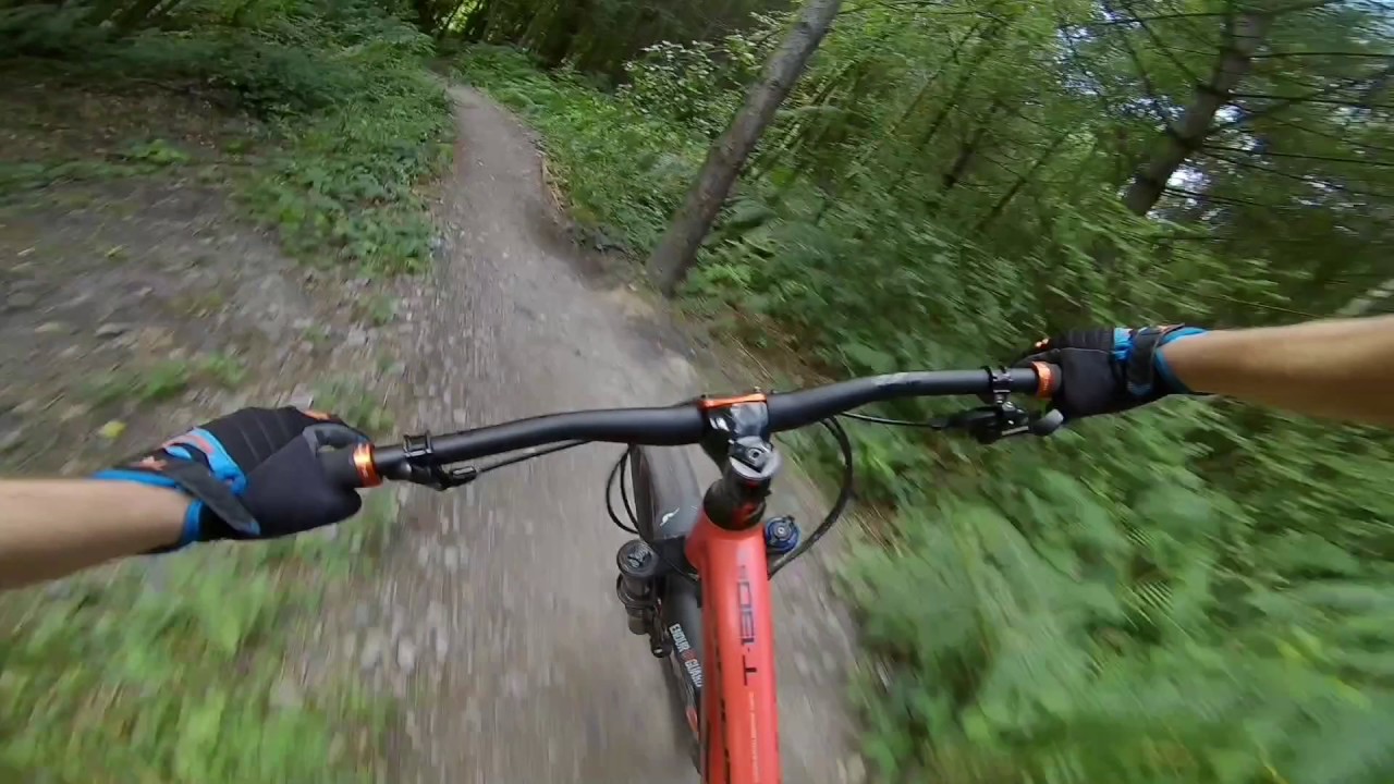 Bedgebury mtb Trail Centre Kent