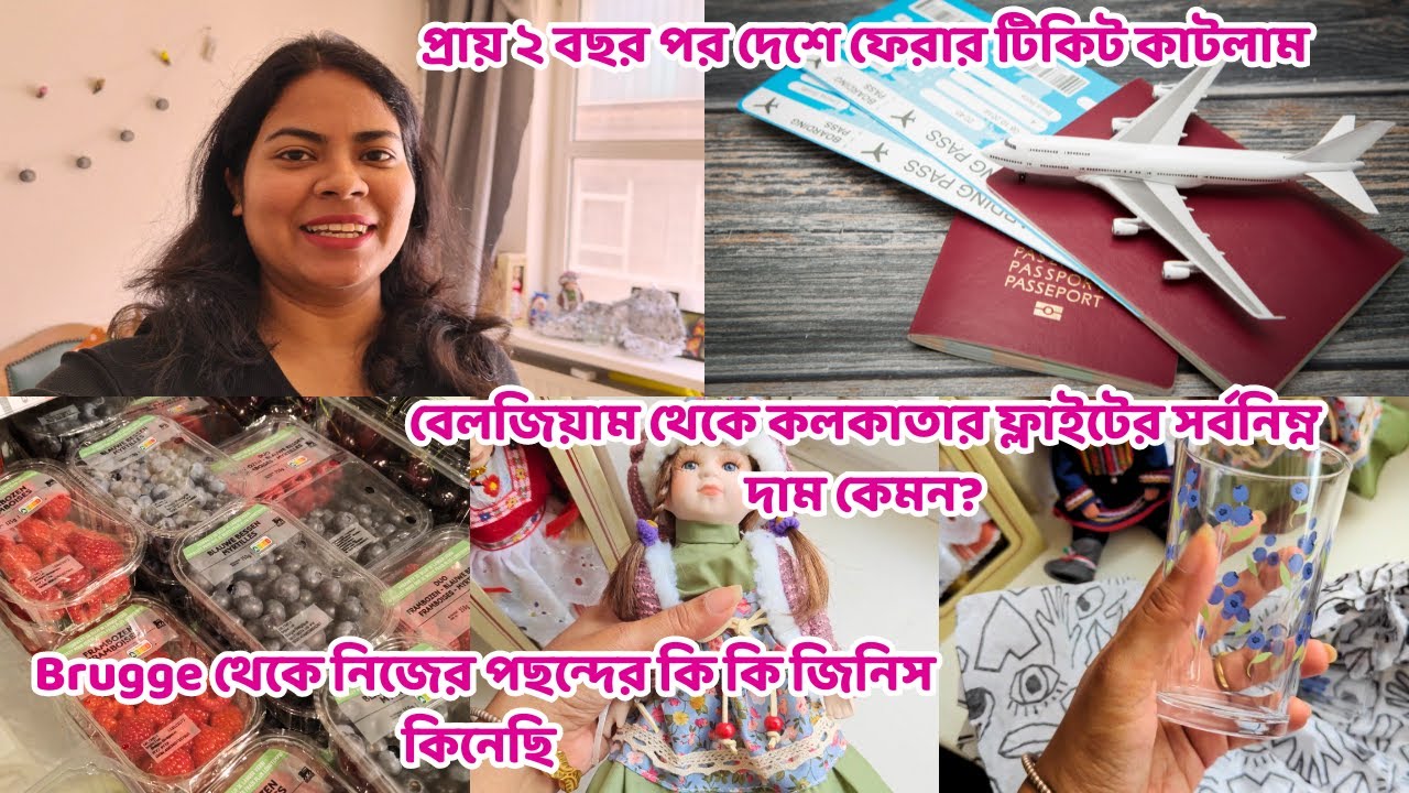 বেলজিয়ামে কিছু জিনিস দেশের থেকেও সস্তায় পাওয়া যায় 😲😲😲😲😲 Bengali Vlog