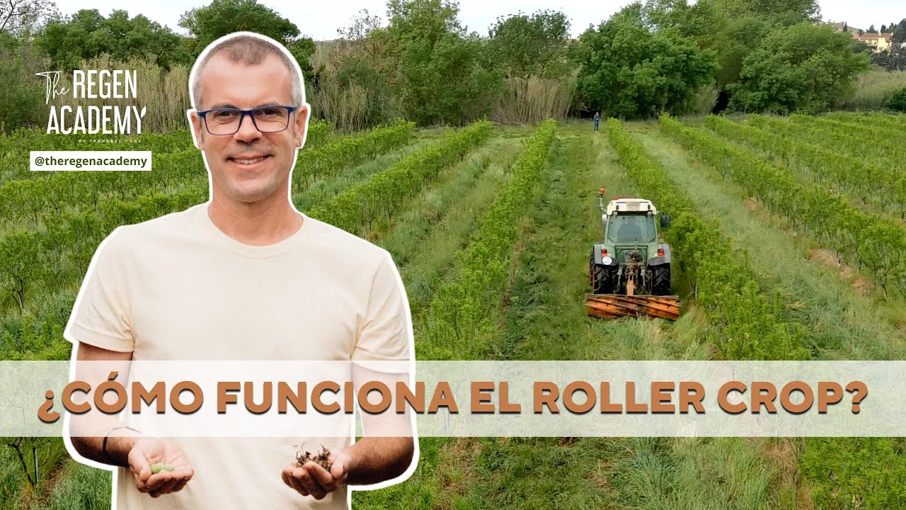 ¿Cómo funciona el Roller Crop?