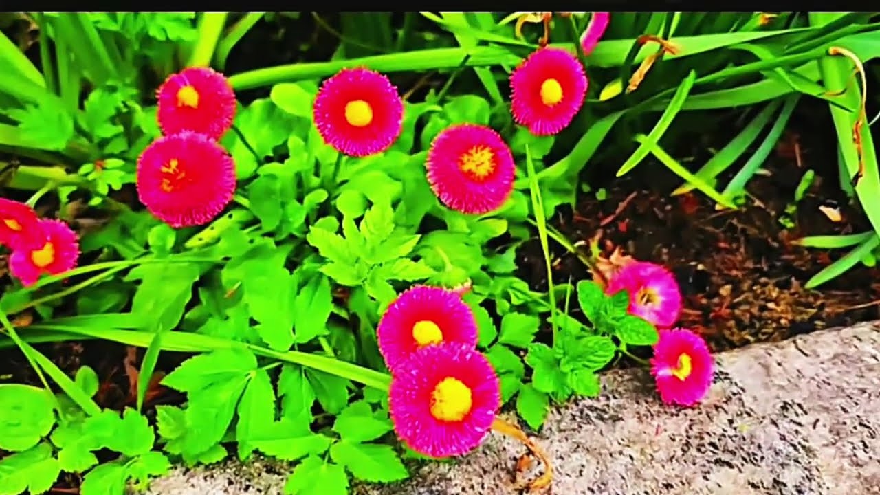 EUROPE SWITZERLAND BY.ABC TRAVEL VLOGS PHILIPPINES