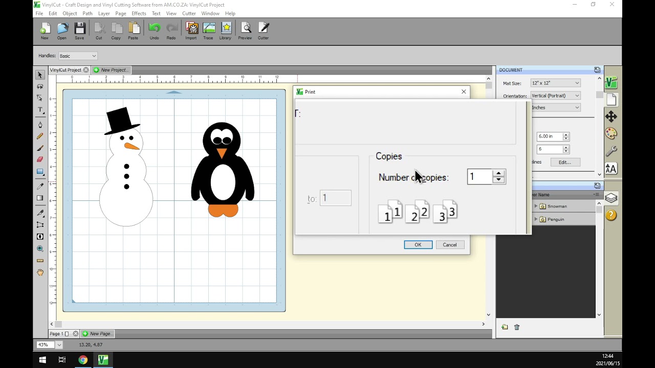 VinylCut 5 Software An Overview About the Printing Settings, Step by Step Video Guide
