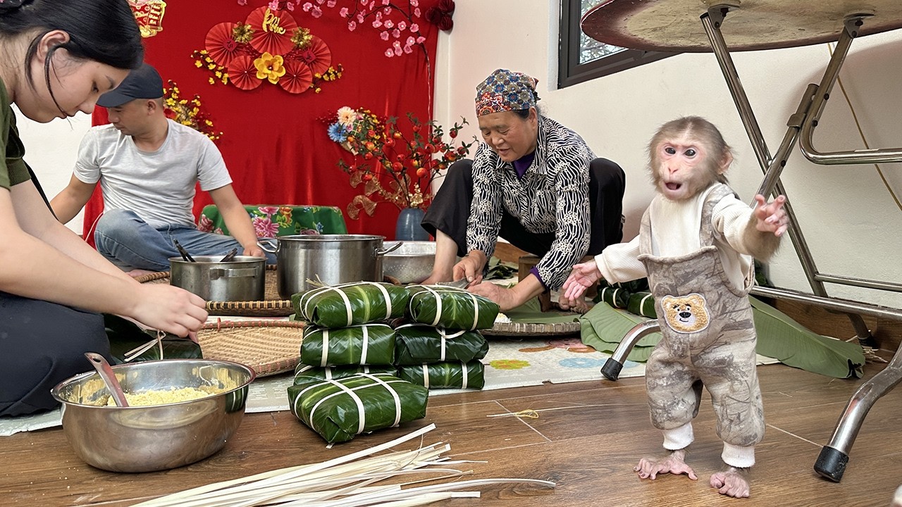 Lala enjoys the experience of wrapping traditional Vietnamese rice cakes with her family!