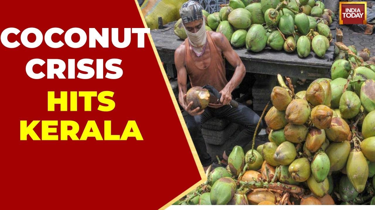 Kerala's Coconut Crisis: God's Own Country Loses Its Identity?