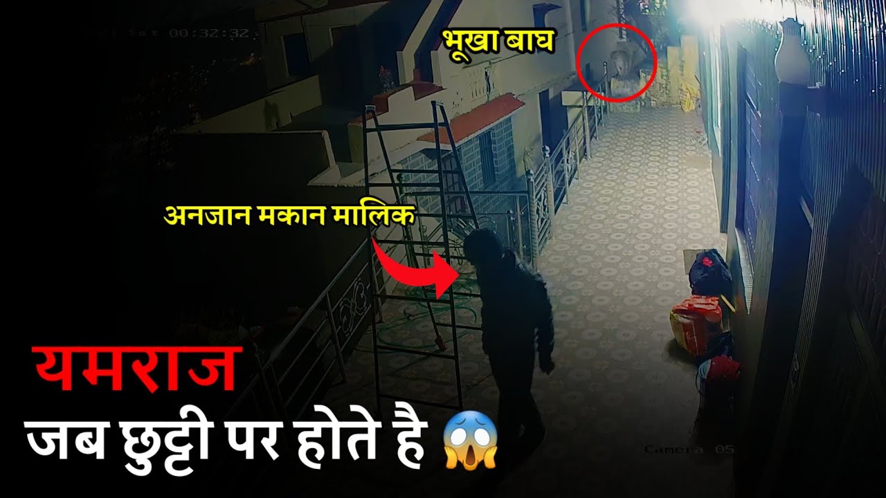 Uttarakhand में Camping के दौरान बाघ के साथ आमना सामना हुआ | Leopard seen in Camping, Uttarakhand