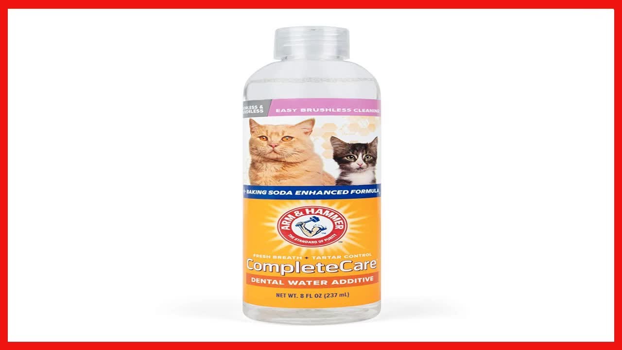 Arm & Hammer Complete Care Fresh Dental Water Additive for Dogs and Cats