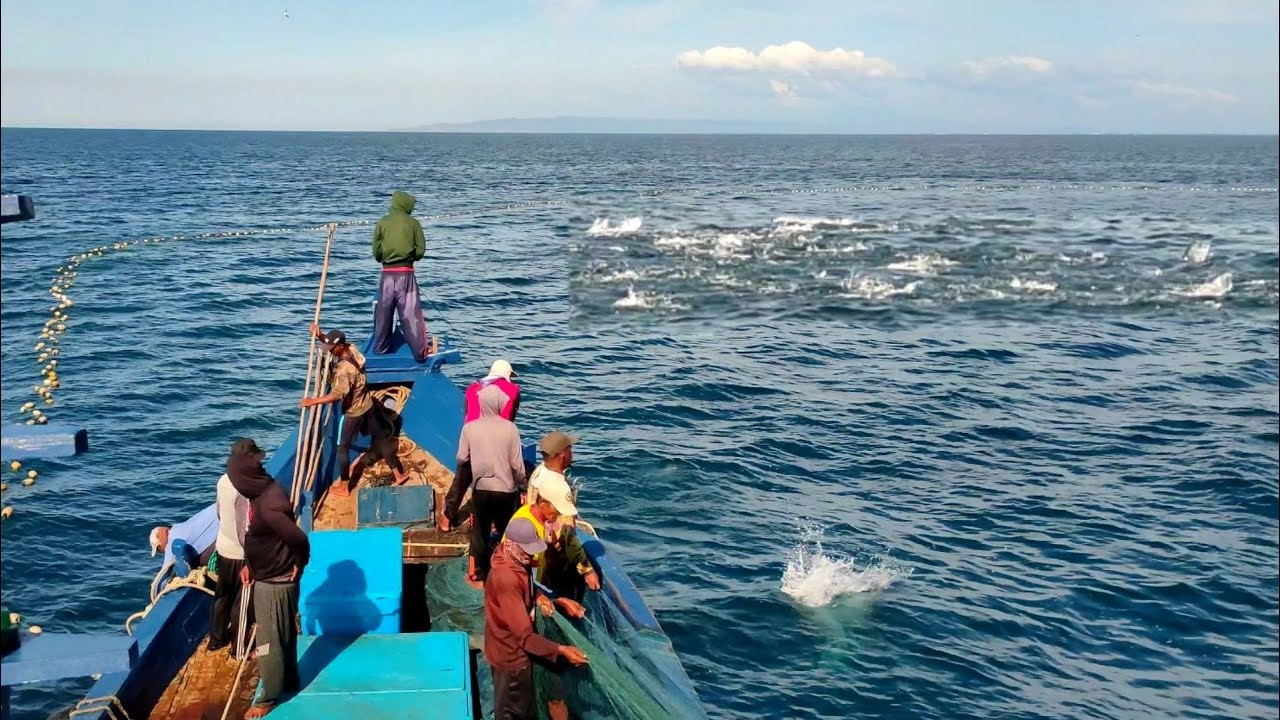 Pukat cincin, Nelayan Indonesia Dapat Banyak Ikan, luar biasa hasil tangkapan nelayan Indonesia
