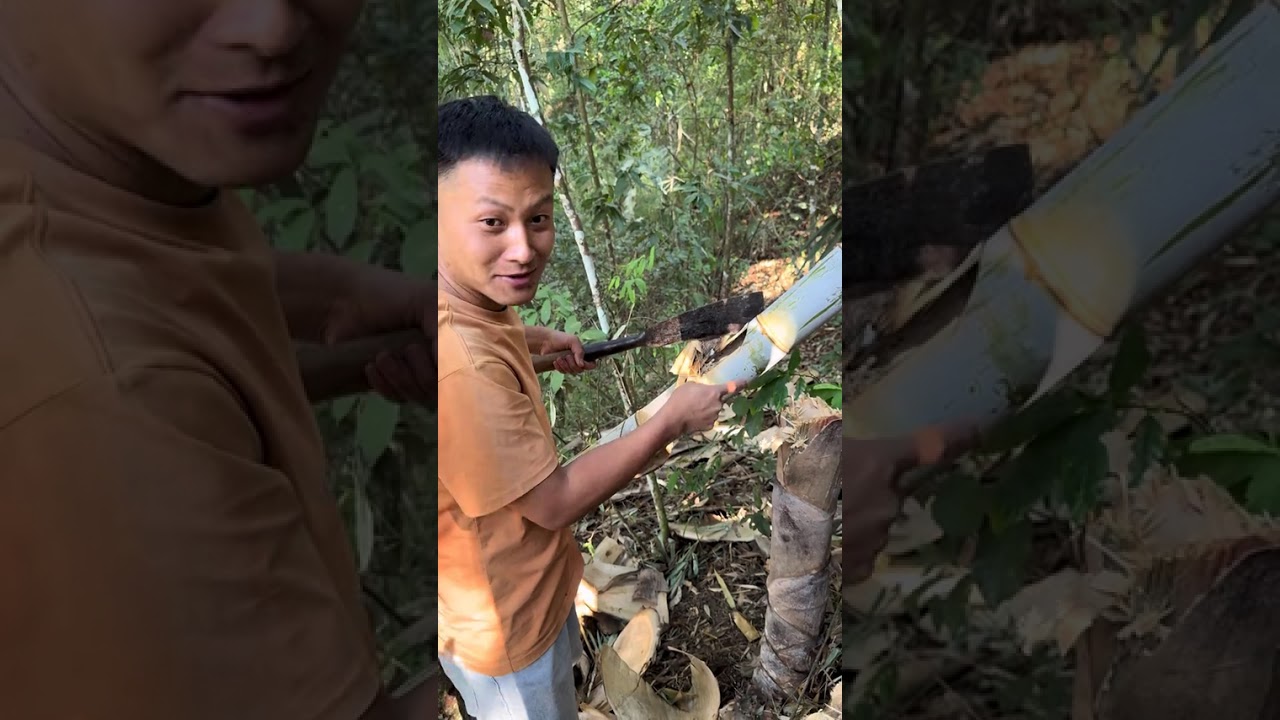 Mastering the Bamboo Cut: A Yunnan Dialect Dive with Douyin Stars