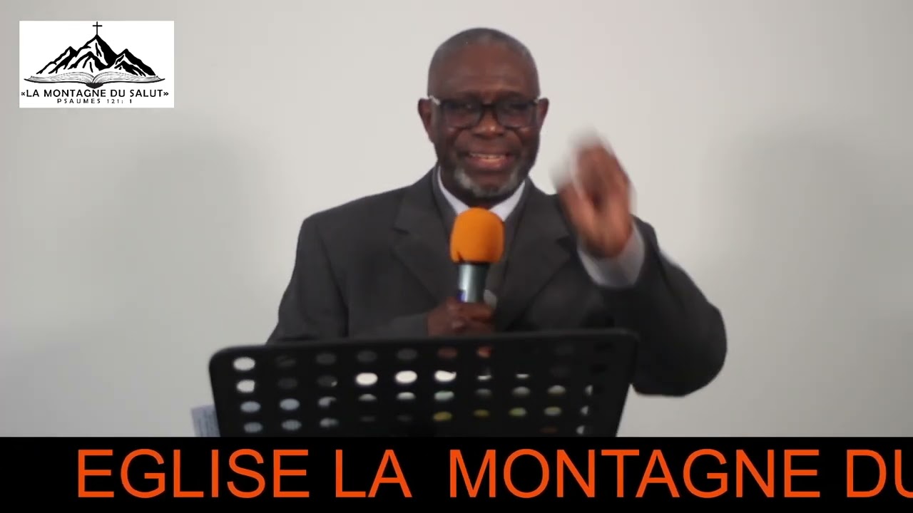 Les Cinq pierres de David
