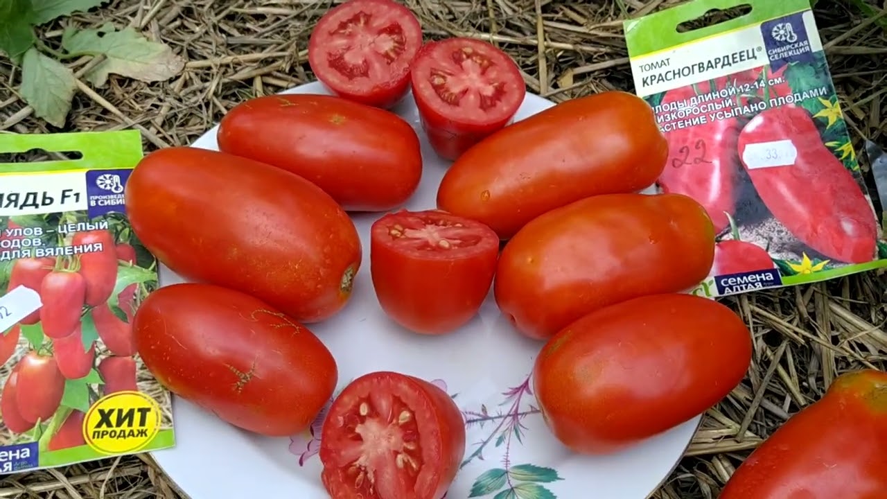 обзор 🍅, томатов,, стерлядь,, и ,,красногвардеец,,  очень похожи! 👍