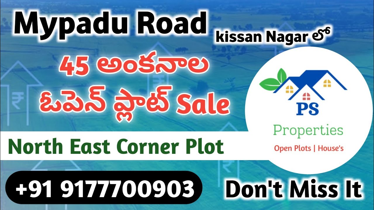 మైపాడు రోడ్డు లో45 అంకనాల Corner ప్లాట్// Nellore real estate// Open plot sale🏡 mypadu road #shorts