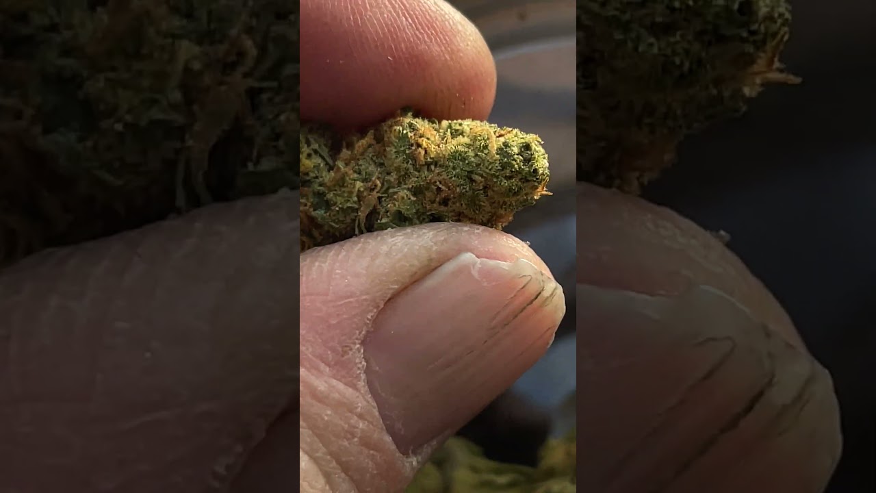 Purple Lemon Punch ( CTpharma)
