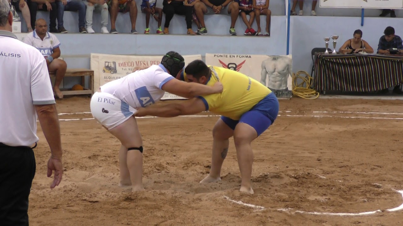 Trofeo Lucha Canaria "San Bernardo"  Brisas del Teide (Fasnia) y Chimisay (Arafo) 2019