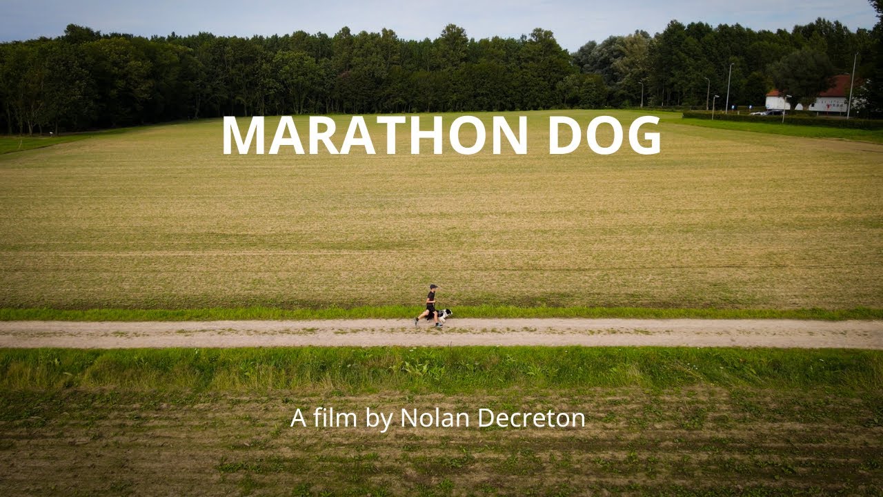 Marathon Dog | a film by Nolan Decreton