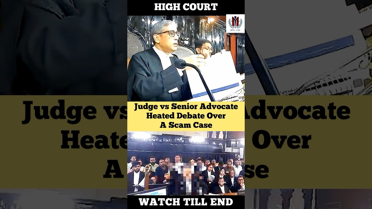 Judge vs Senior Advocate debate over a scam case #judge #advocate #highcourt #shortvideo