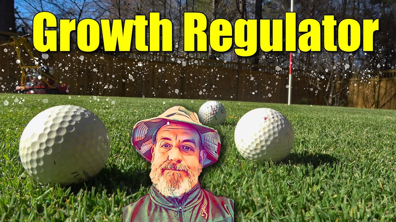 Applying Growth Regulator to Lawns