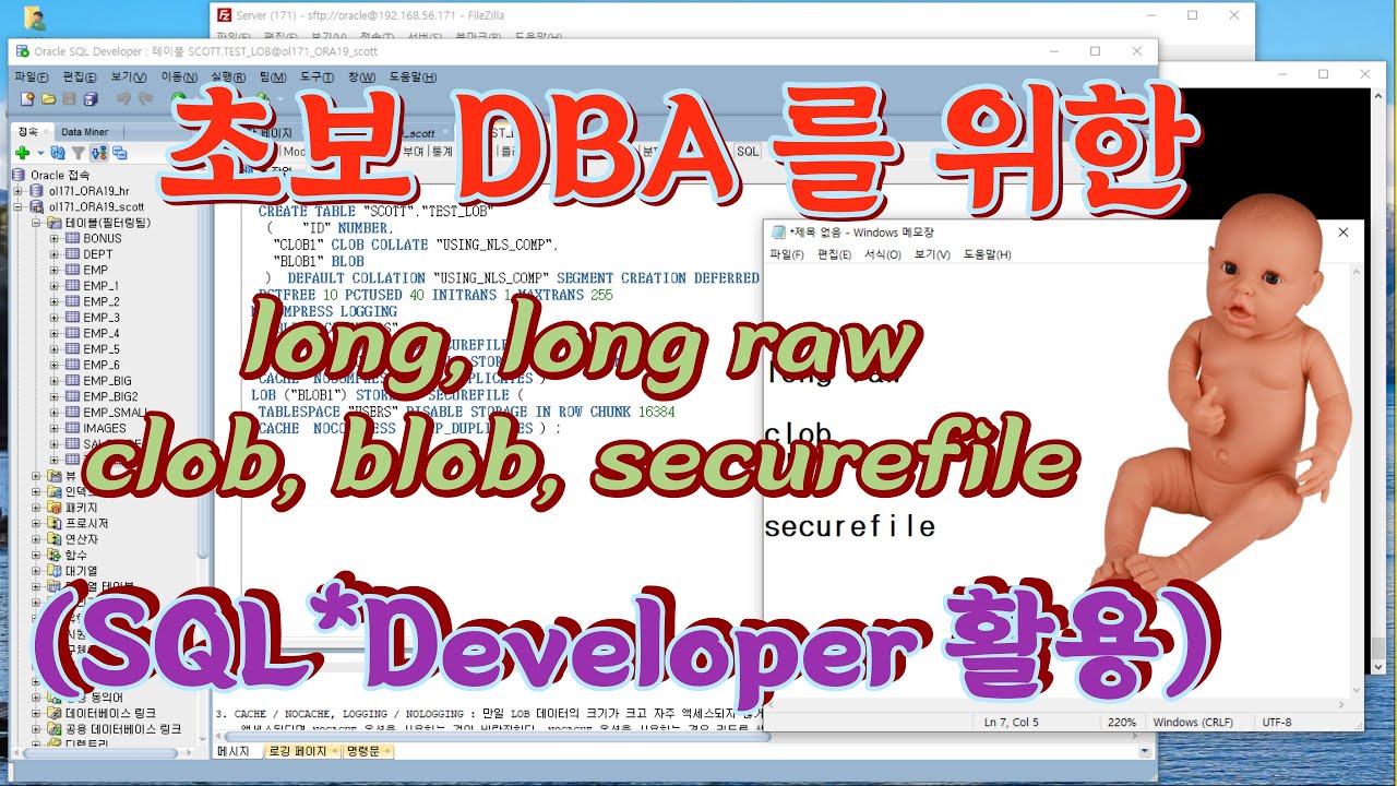 SQL Developer 를 활용한 long, clob, blob, securefile 타입 조작