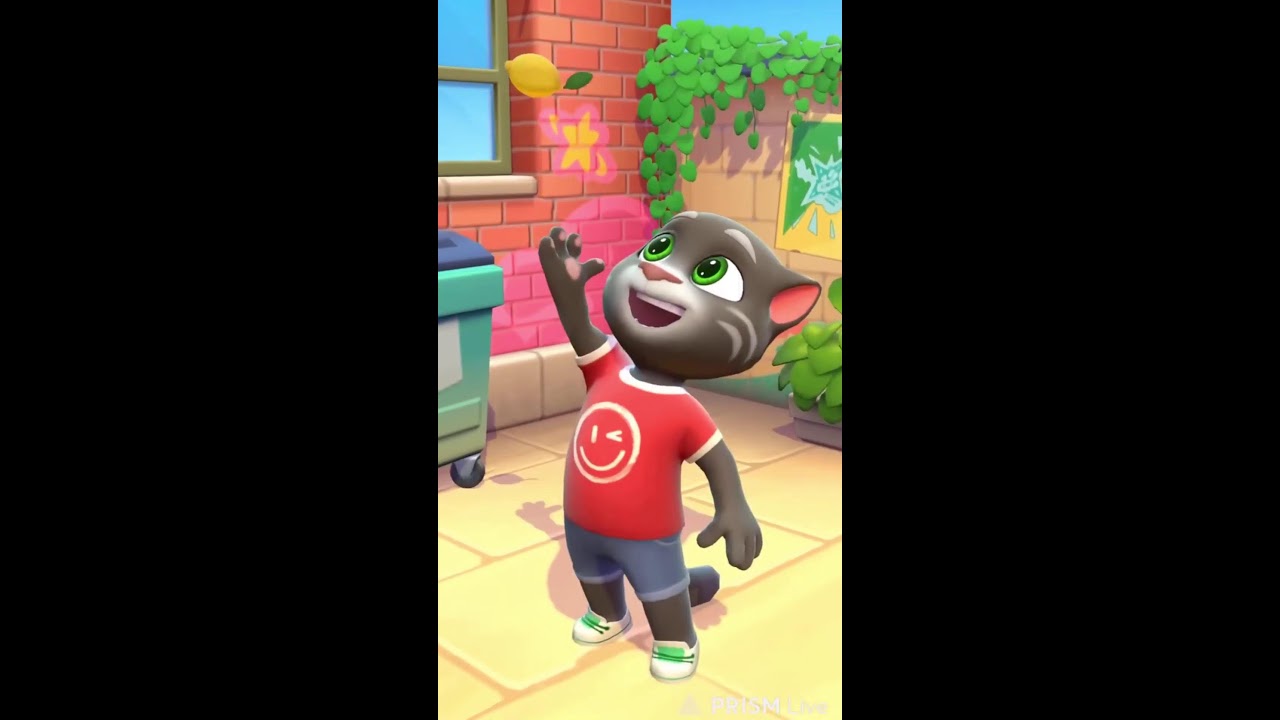 talking tom live fun