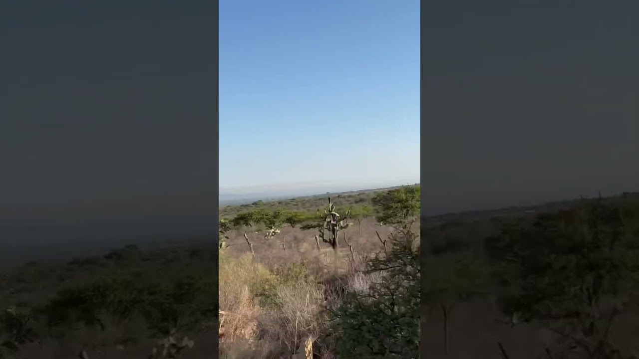 Tlaltenango Zac