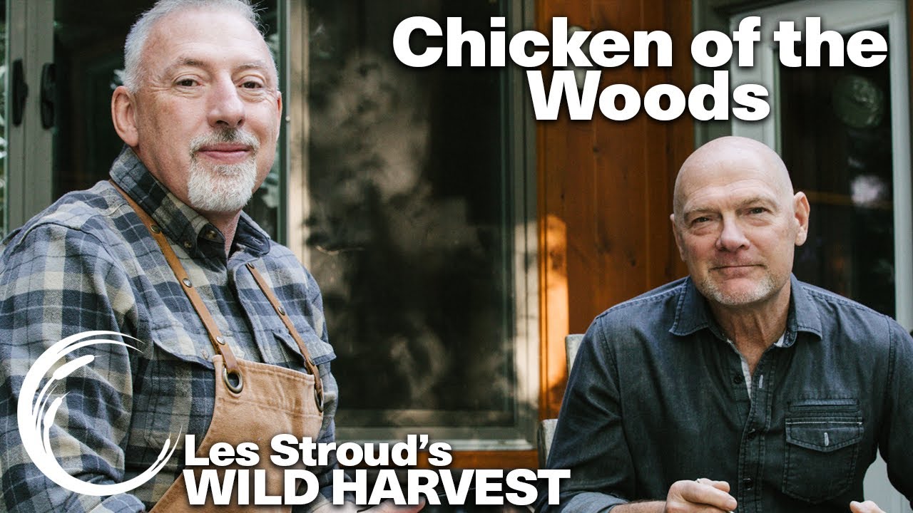 WILD HARVEST | CHICKEN OF THE WOODS! | LES STROUD | CHEF PAUL ROGALSKI