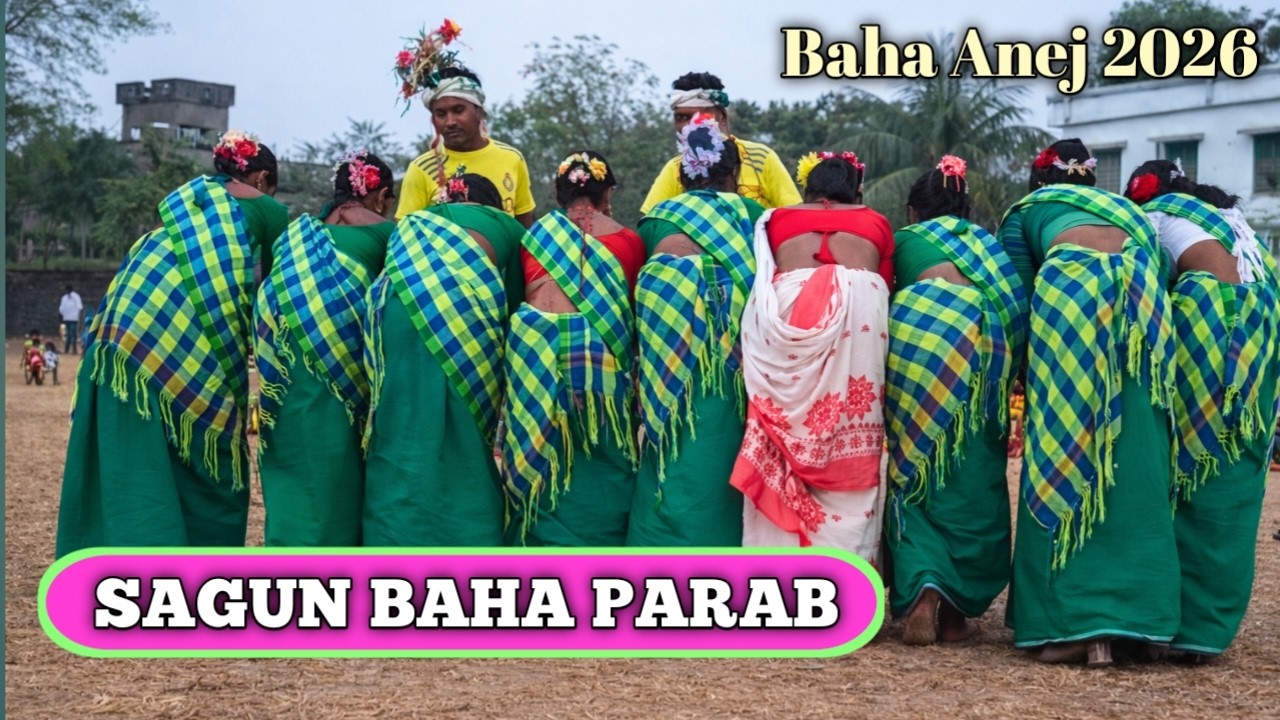 BAHA SONG // Sagun Baha Parab New santali  Video 2026