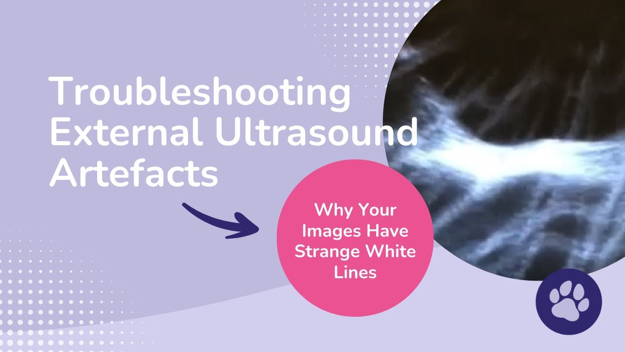 Troubleshooting External Ultrasound Artefacts: Why Your Images Have Strange White Lines
