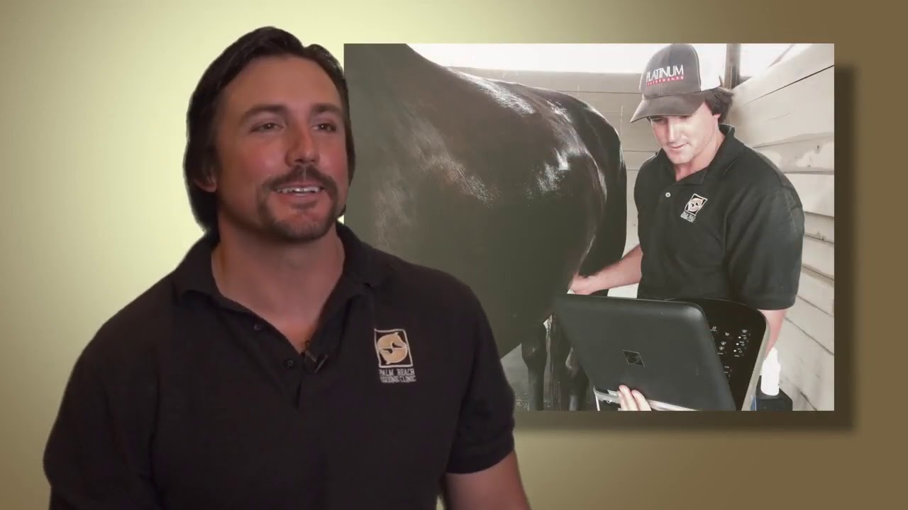Board Certified Equine Surgeon Dr. Weston Davis on Surgical Techniques