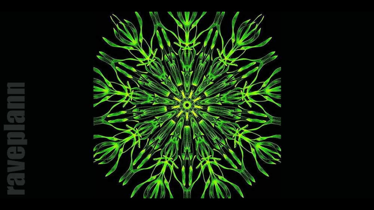 Psytrance DJ Yuya One Day In Tokyo 2017