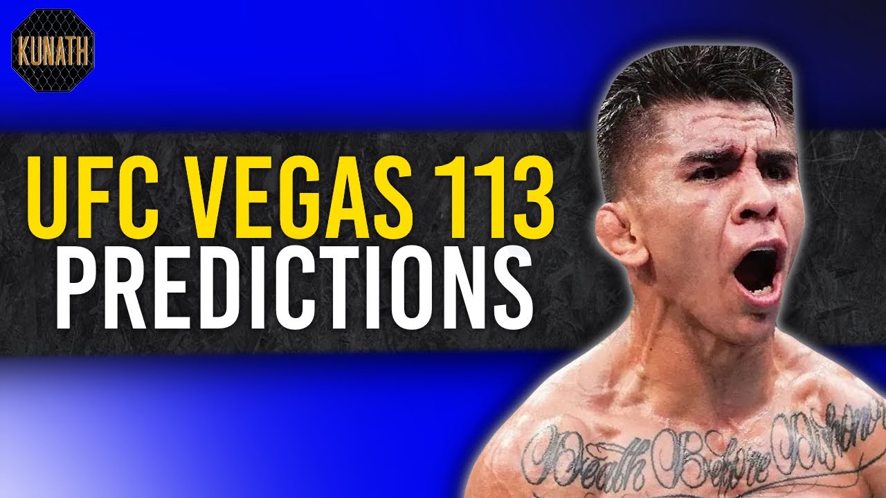 UFC VEGAS 113 PREDICTIONS | UFC VEGAS 113 FULL CARD BREAKDOWN