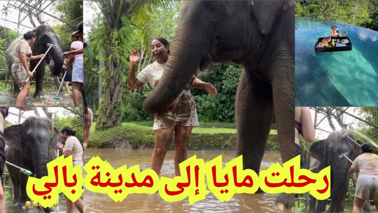 رحلت مايا إلى بالي ..