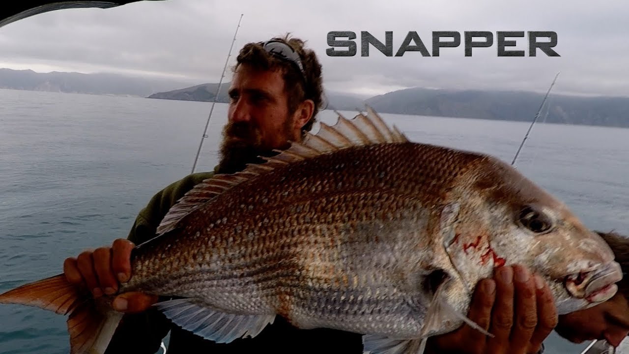 Fishing for Snapper in Nelson New Zealand with Josh James