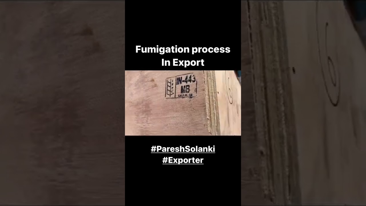 How to do fumigation in Export, Practical export by Paresh Solanki
