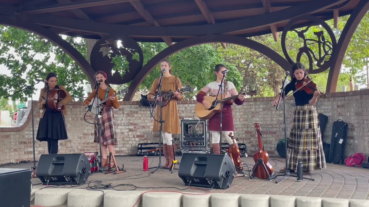 Wayfaring Stranger live