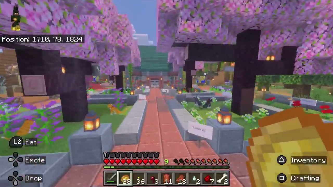 Minecraft