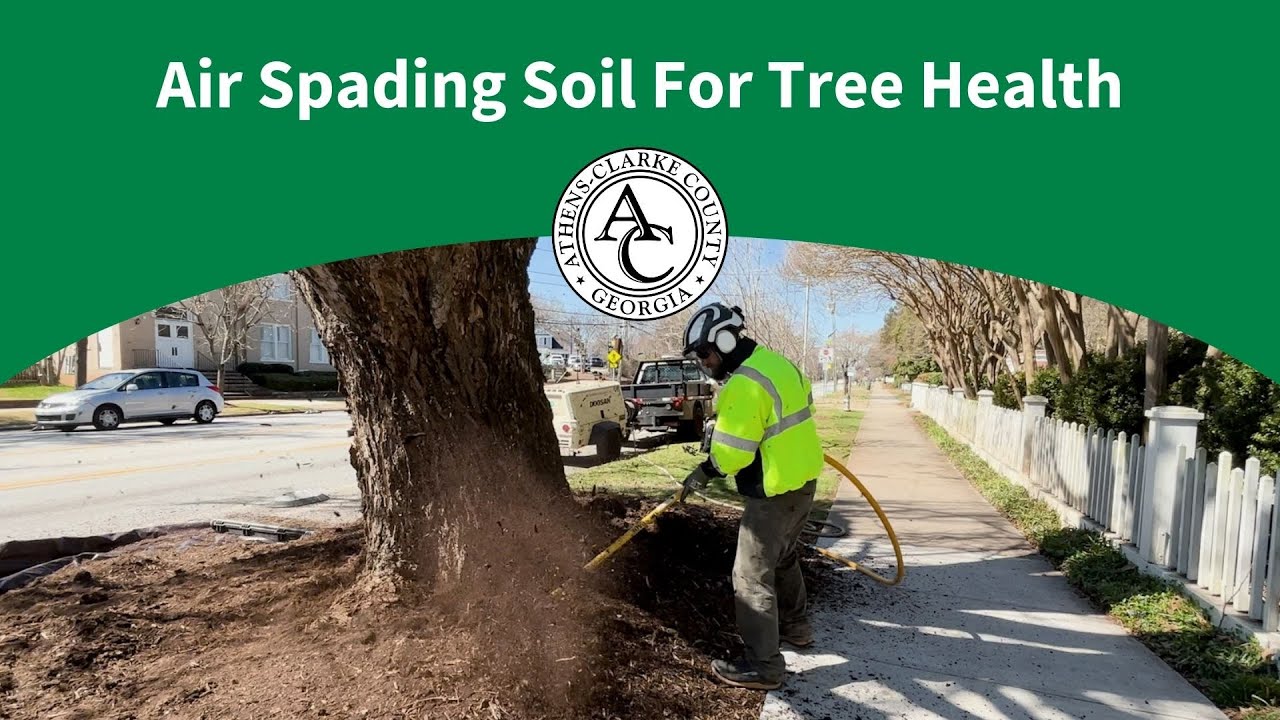 Air Spading Soil For Tree Health