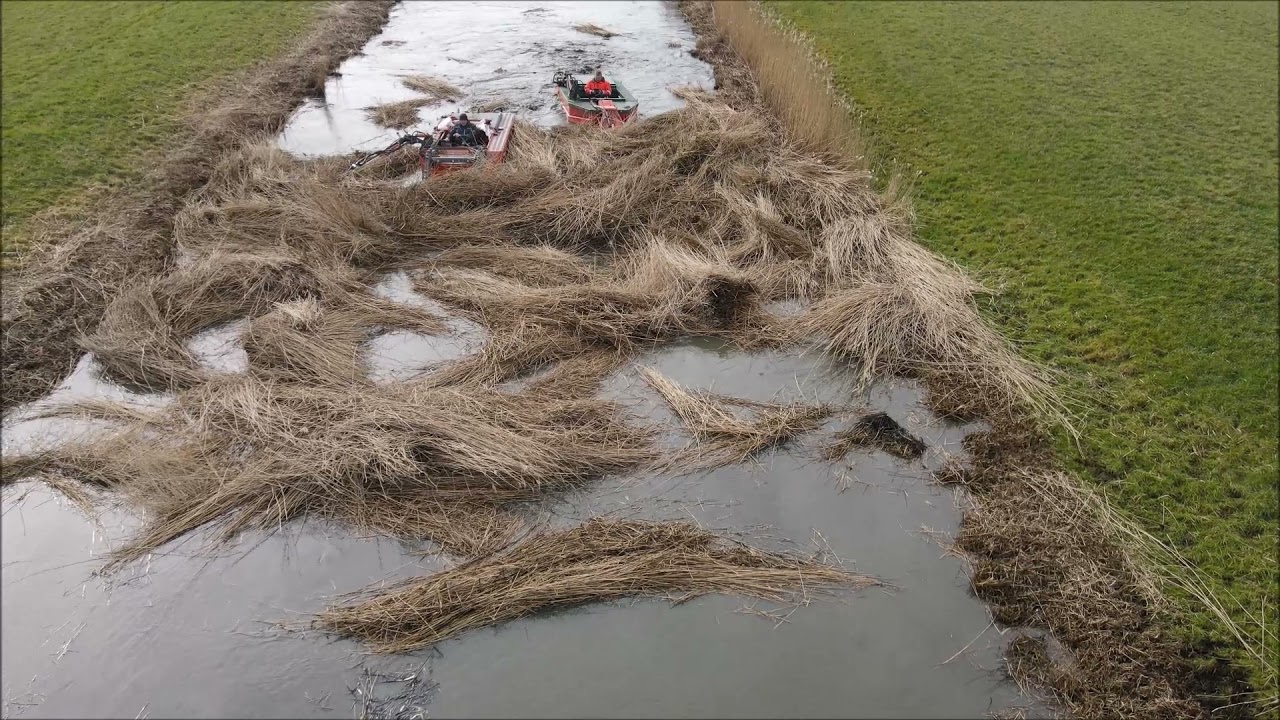 Riet maaien en opruimen doormiddel van twee maaiboten.