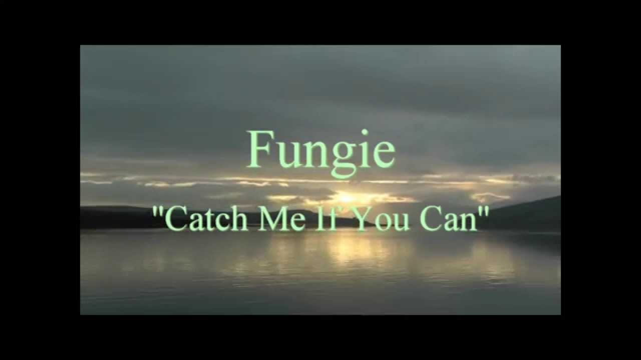 Fungie The Dingle Dolphin  ''Catch Me If You Can''