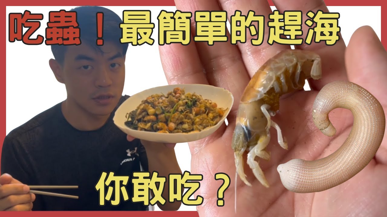 【Roy漁獵遊記-膽小慎入】海邊吃蟲趣，輕鬆趕海，滿滿一桶外星生物