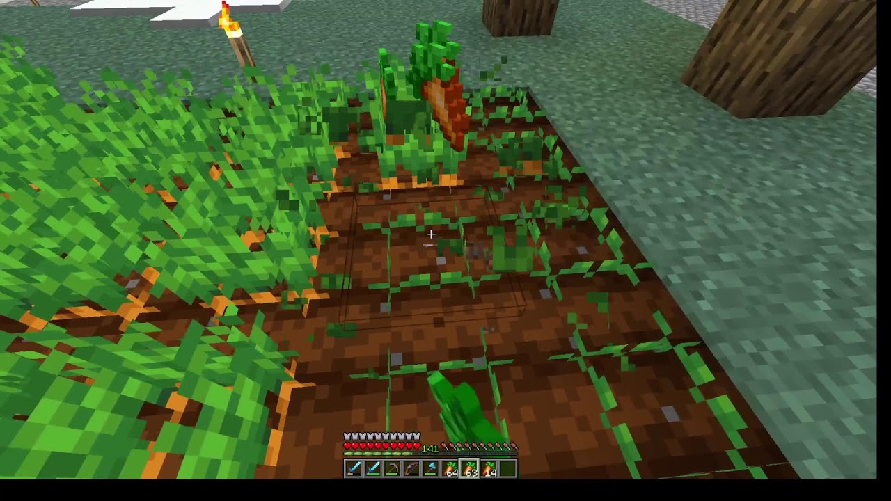 Skyblock server και άλλα πράγματα, minecraft 1.21.11