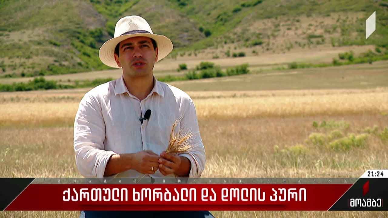 ქართული ხორბალი და დოლის პური